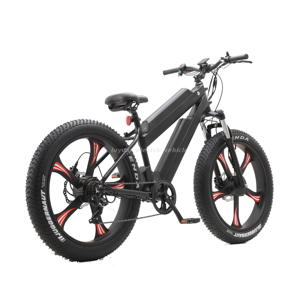 Basikal Elektrik EM 02WD
